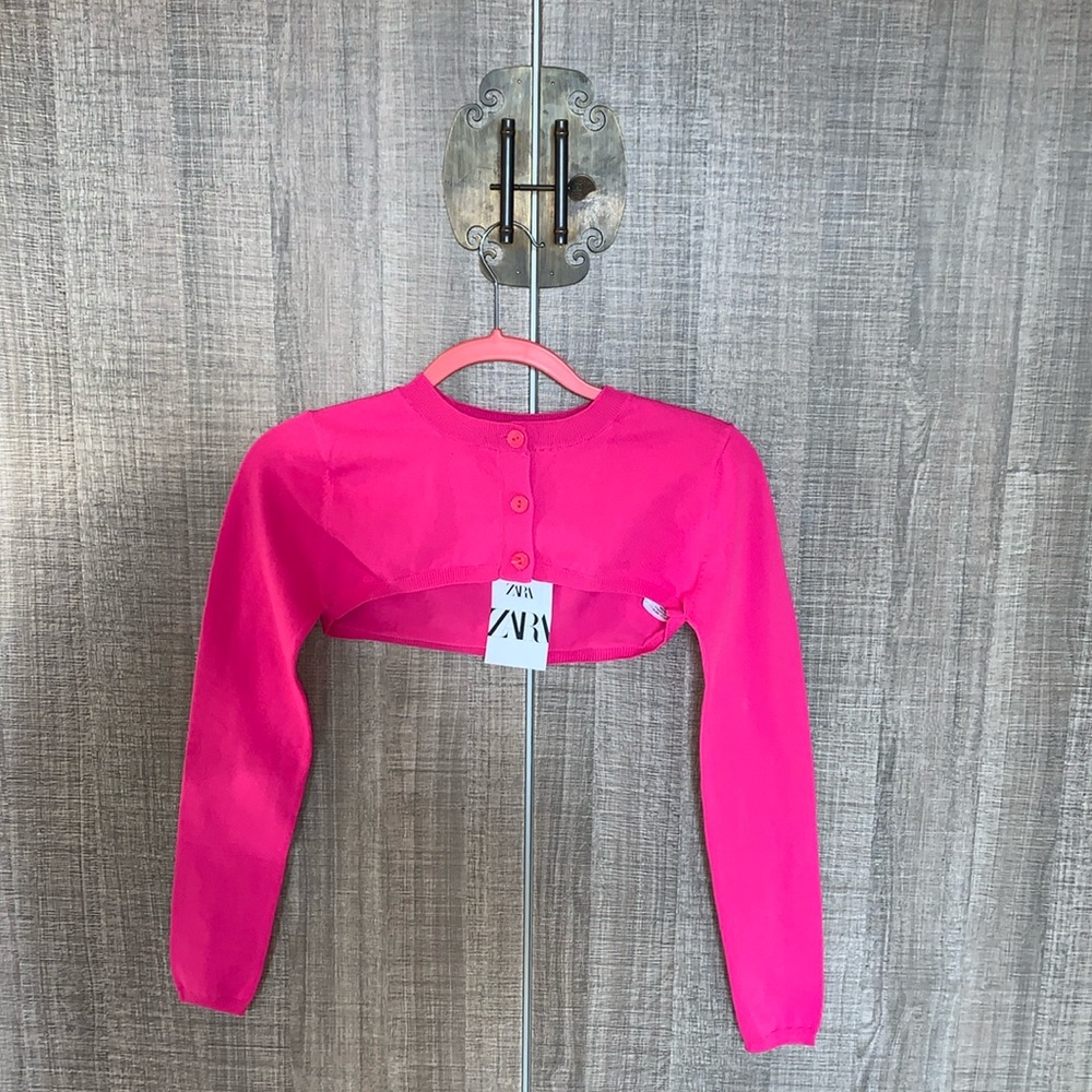 ZARA Long Sleeve Button Up Crop Top